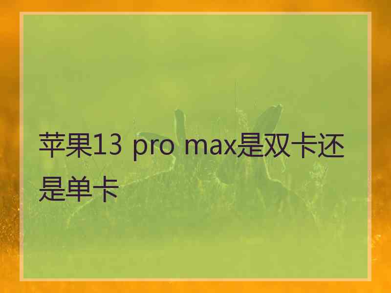 苹果13 pro max是双卡还是单卡