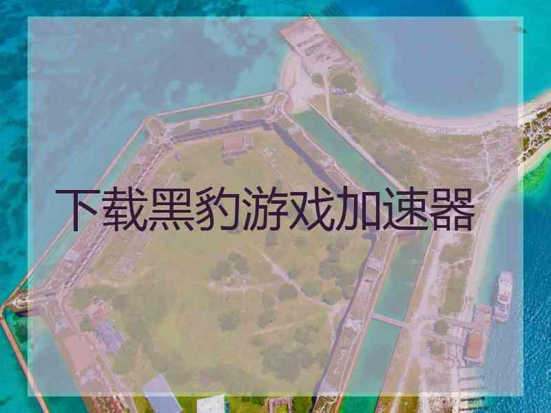 下载黑豹游戏加速器