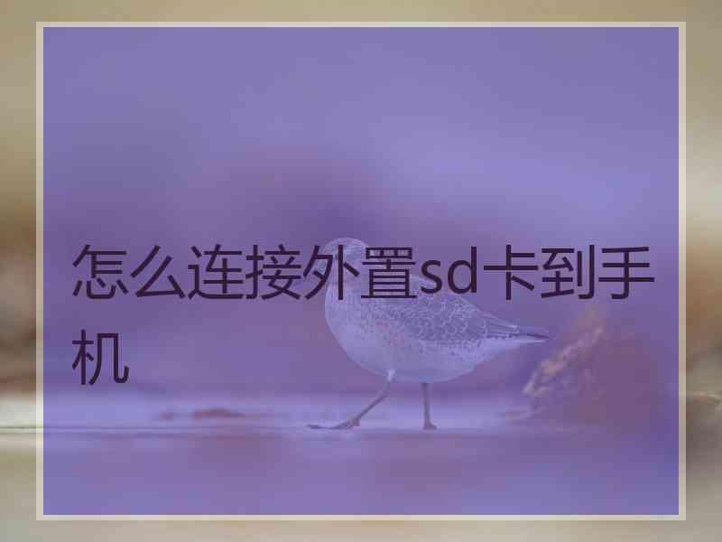 怎么连接外置sd卡到手机