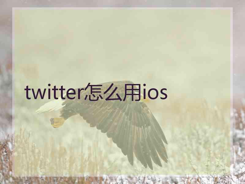 twitter怎么用ios