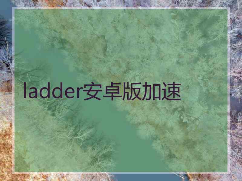 ladder安卓版加速