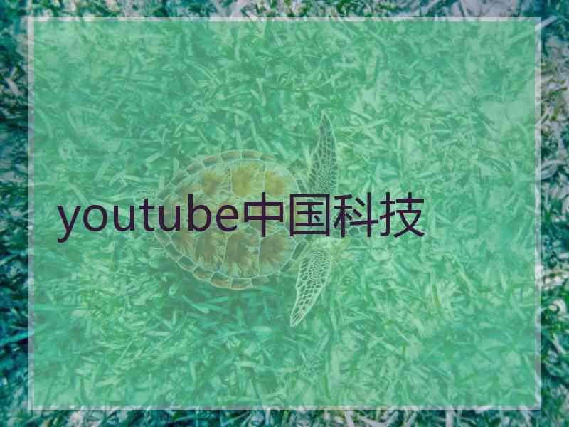 youtube中国科技