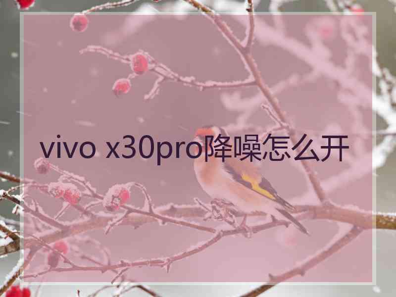 vivo x30pro降噪怎么开