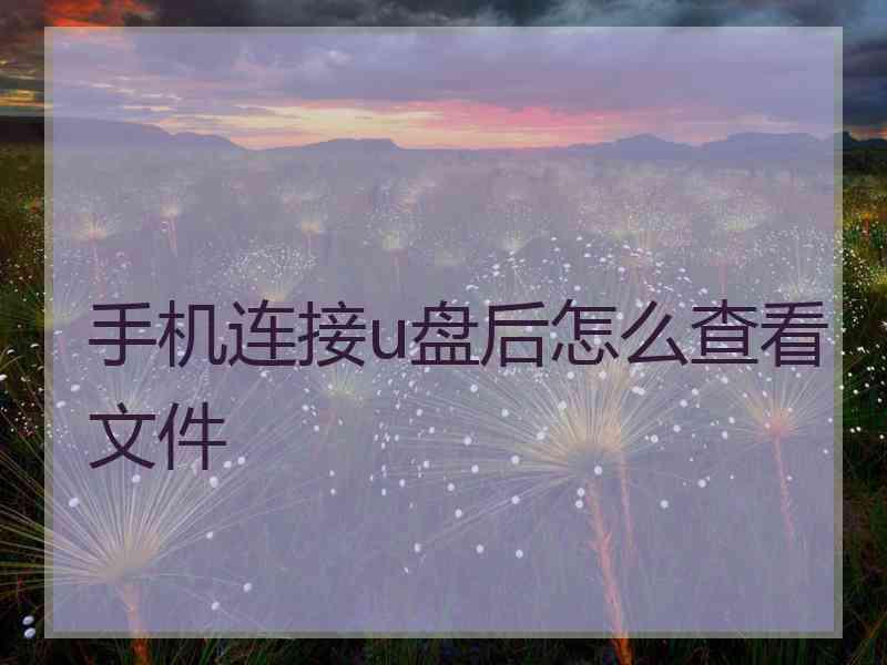 手机连接u盘后怎么查看文件