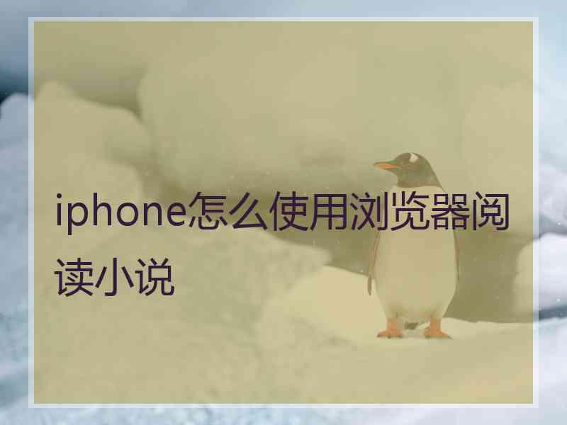 iphone怎么使用浏览器阅读小说