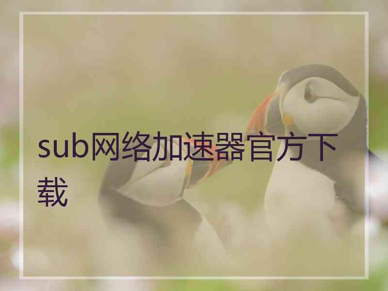 sub网络加速器官方下载