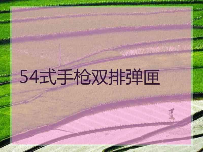 54式手枪双排弹匣