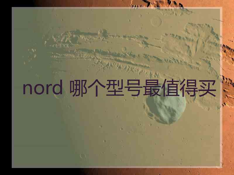 nord 哪个型号最值得买