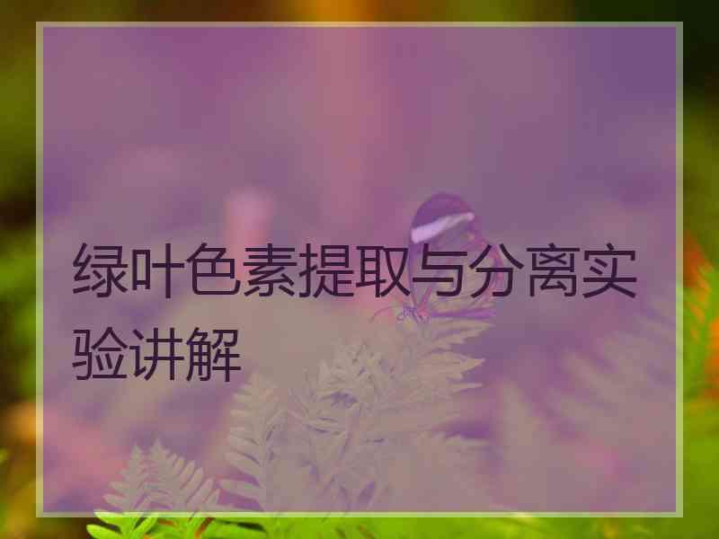 绿叶色素提取与分离实验讲解