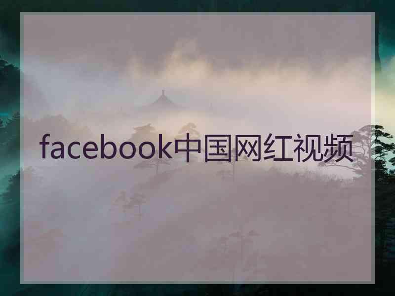 facebook中国网红视频