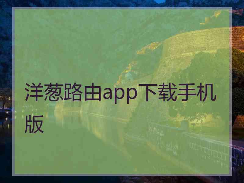 洋葱路由app下载手机版