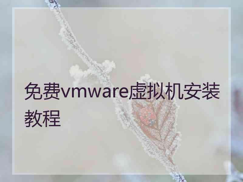 免费vmware虚拟机安装教程