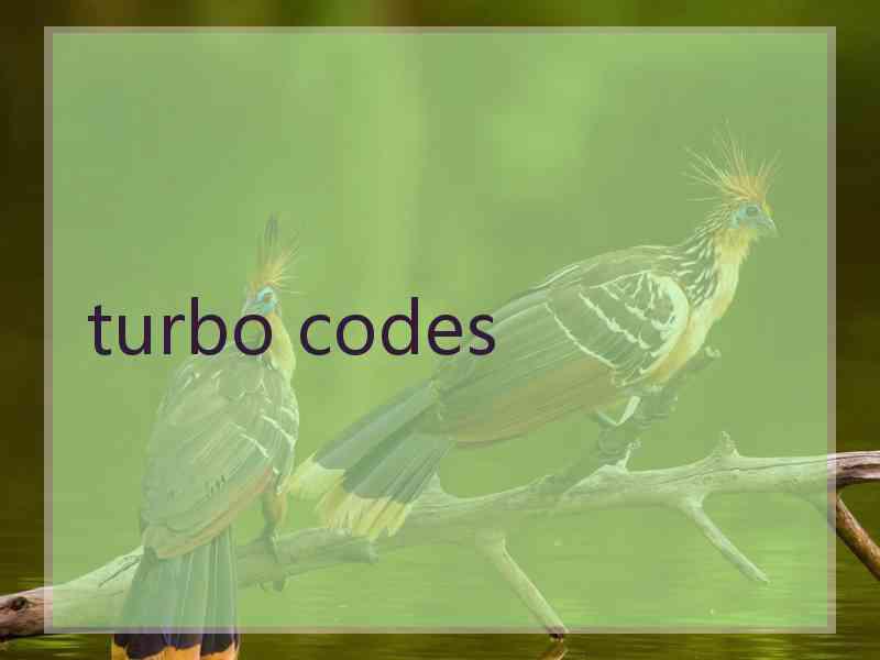 turbo codes