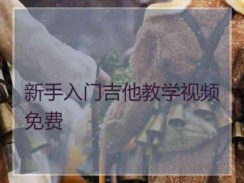 新手入门吉他教学视频免费