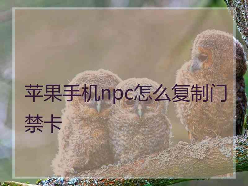 苹果手机npc怎么复制门禁卡