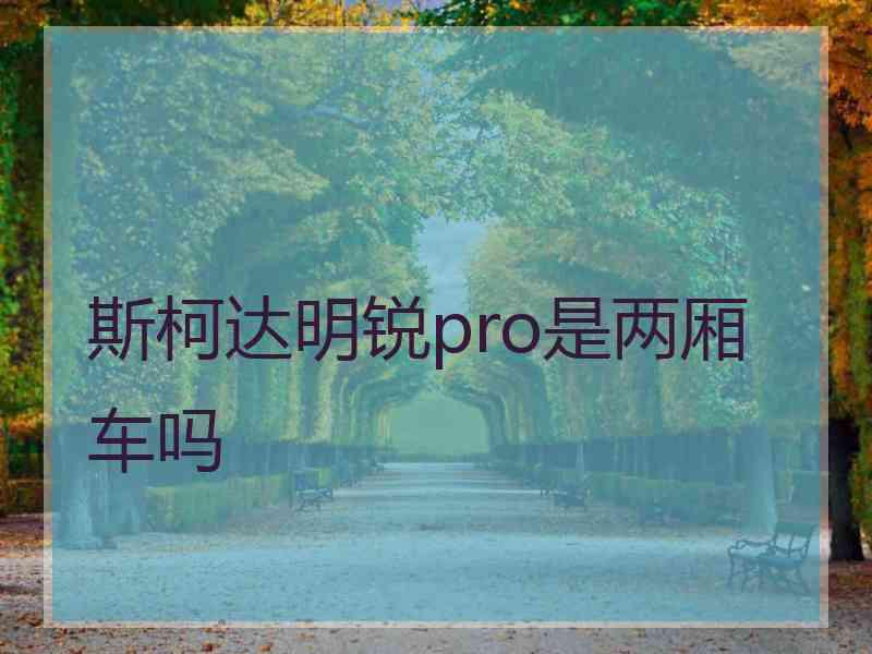 斯柯达明锐pro是两厢车吗