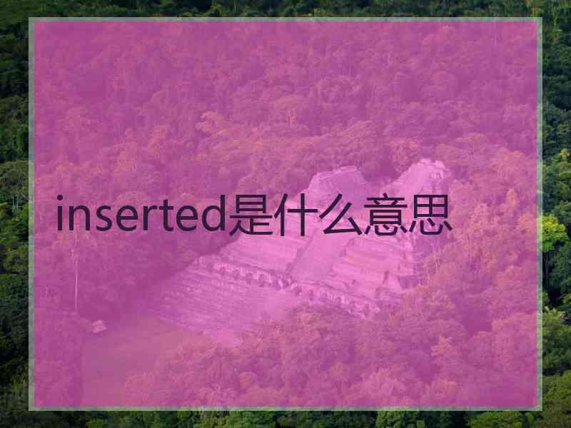 inserted是什么意思