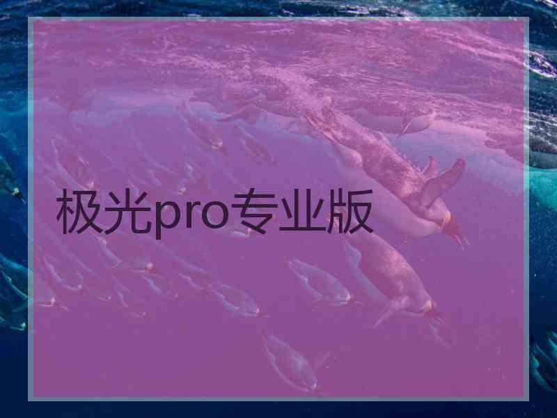 极光pro专业版