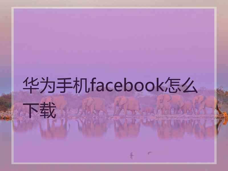 华为手机facebook怎么下载