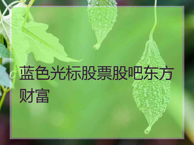 蓝色光标股票股吧东方财富