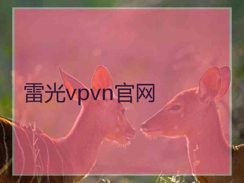 雷光vpvn官网