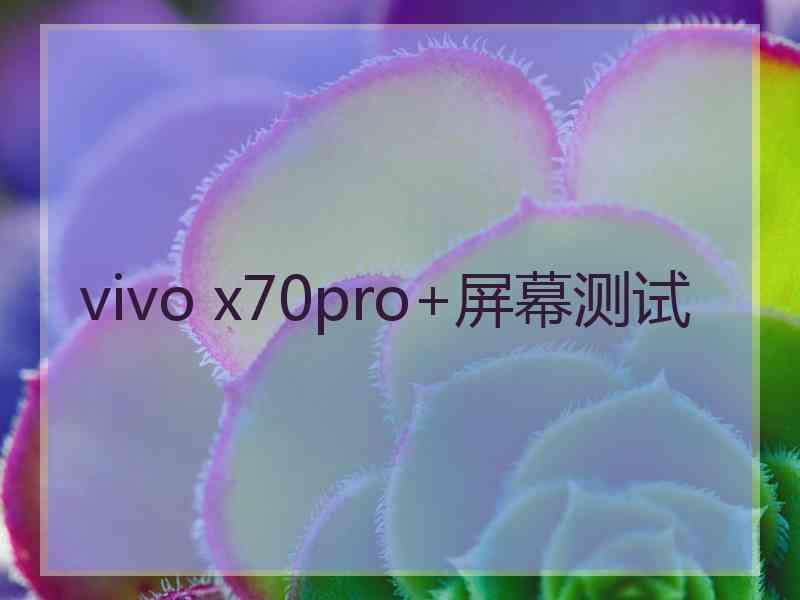 vivo x70pro+屏幕测试