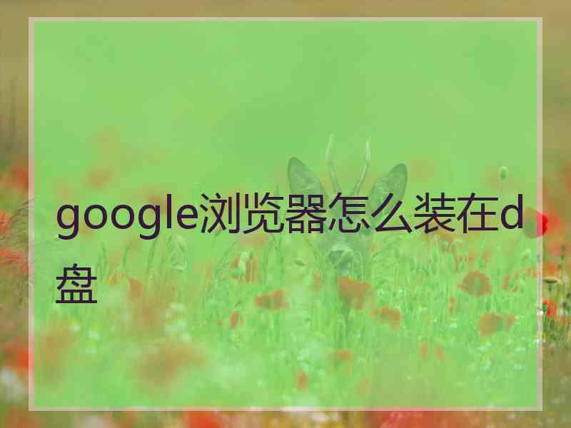 google浏览器怎么装在d盘