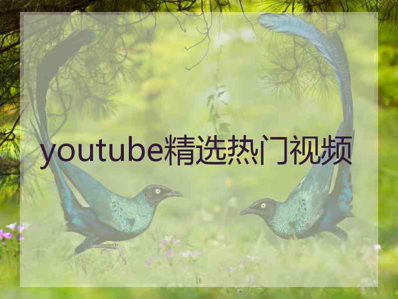 youtube精选热门视频