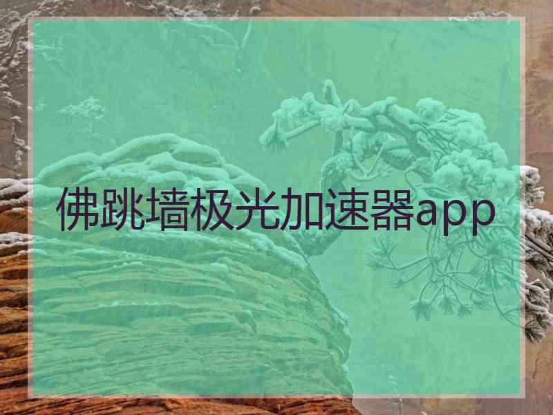 佛跳墙极光加速器app