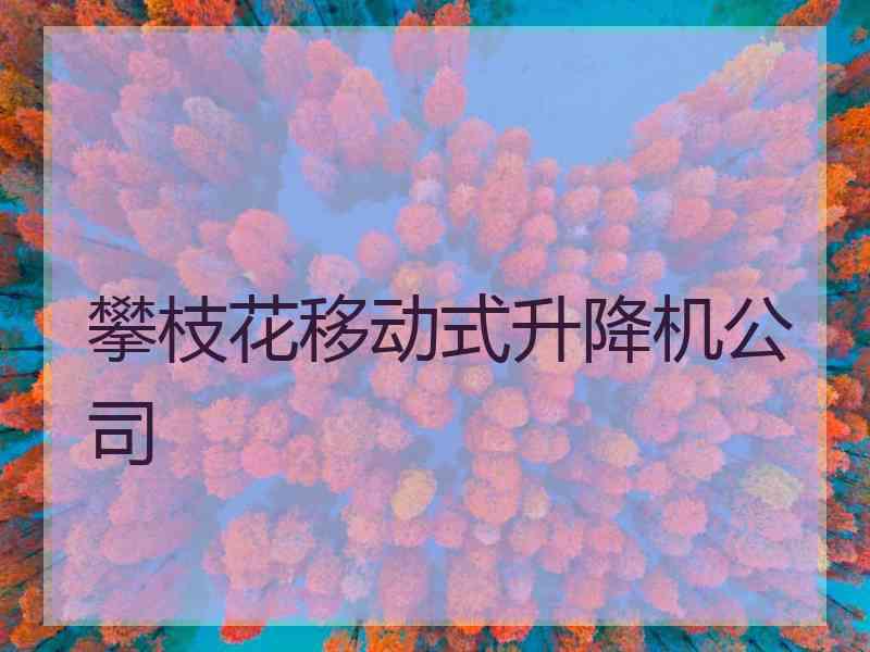 攀枝花移动式升降机公司