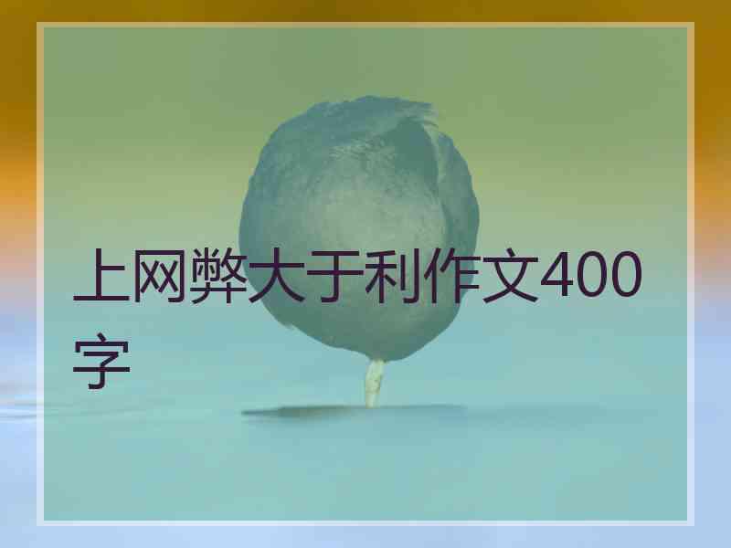 上网弊大于利作文400字