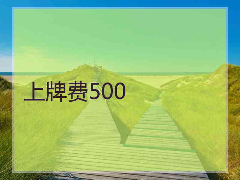 上牌费500