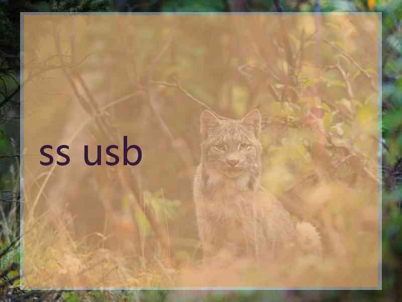 ss usb