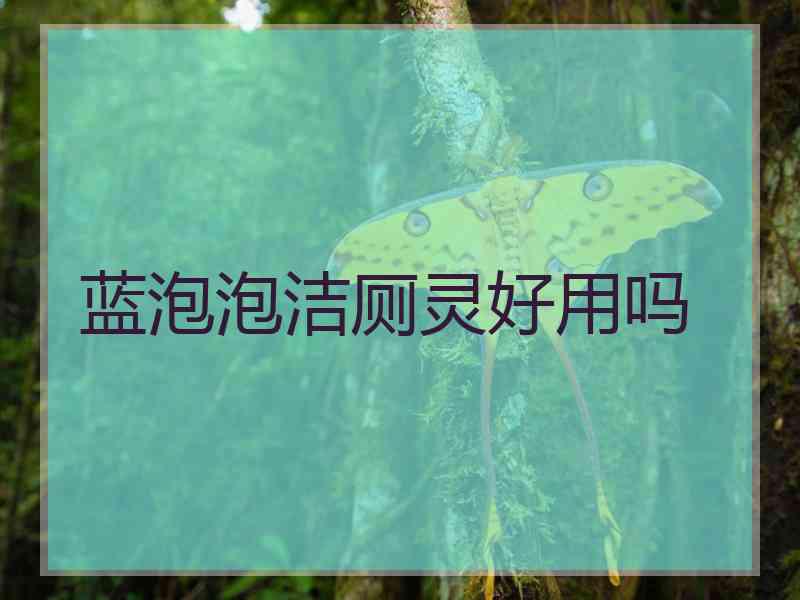 蓝泡泡洁厕灵好用吗