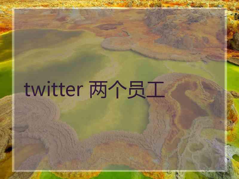 twitter 两个员工