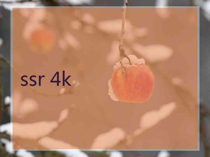 ssr 4k