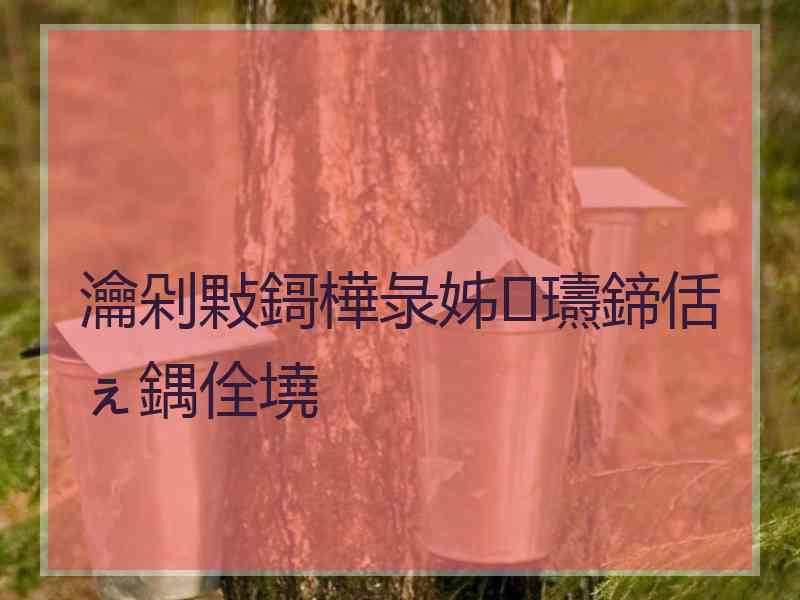 瀹剁敤鎶樺彔姊瓙鍗佸ぇ鍝佺墝