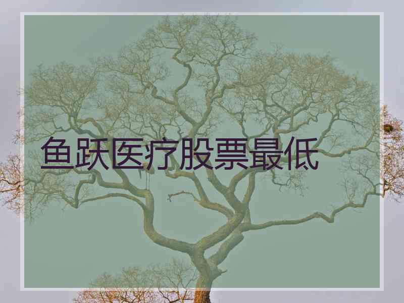 鱼跃医疗股票最低