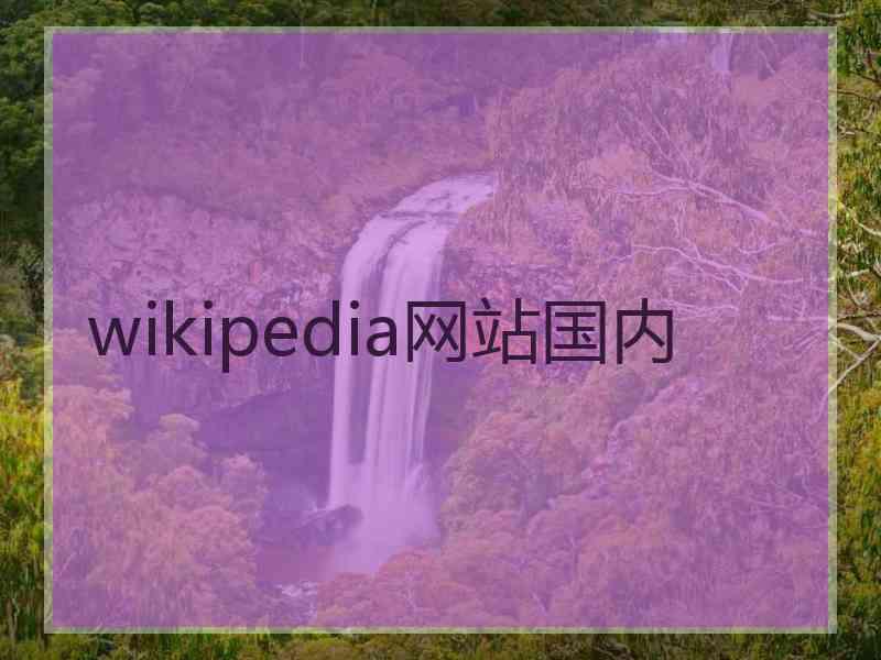 wikipedia网站国内