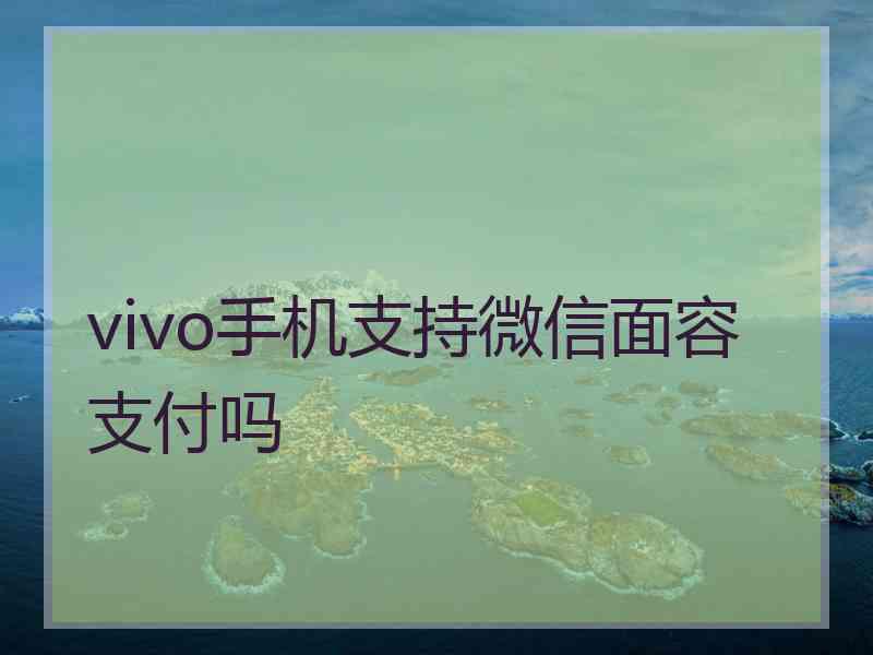 vivo手机支持微信面容支付吗