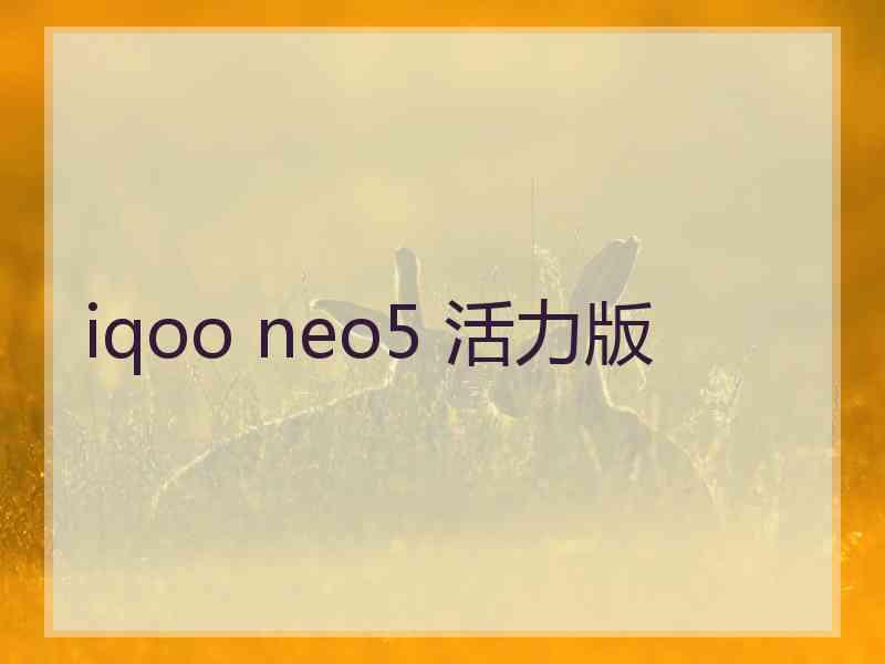 iqoo neo5 活力版