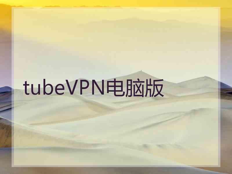 tubeVPN电脑版