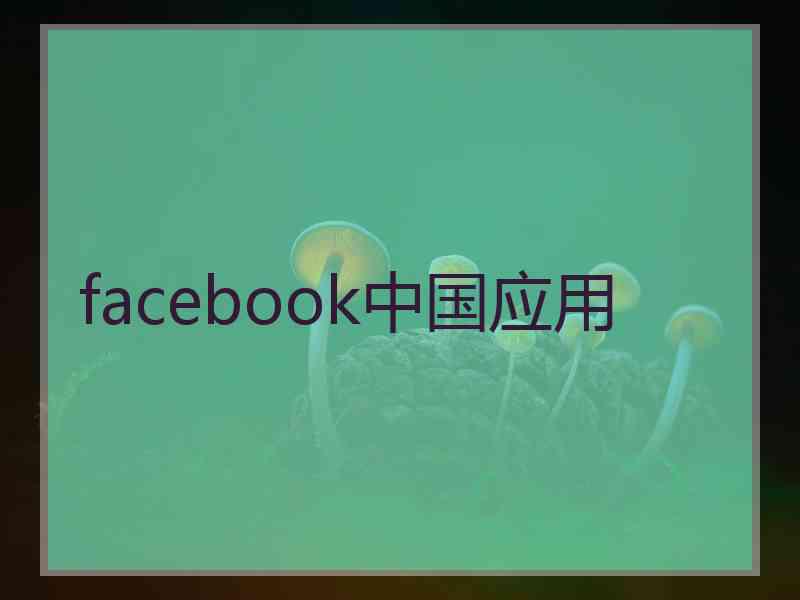 facebook中国应用