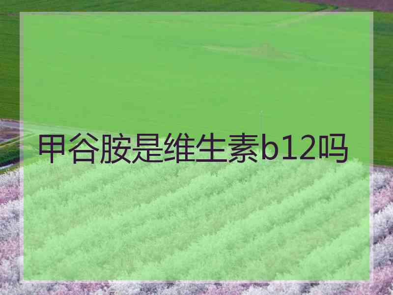 甲谷胺是维生素b12吗