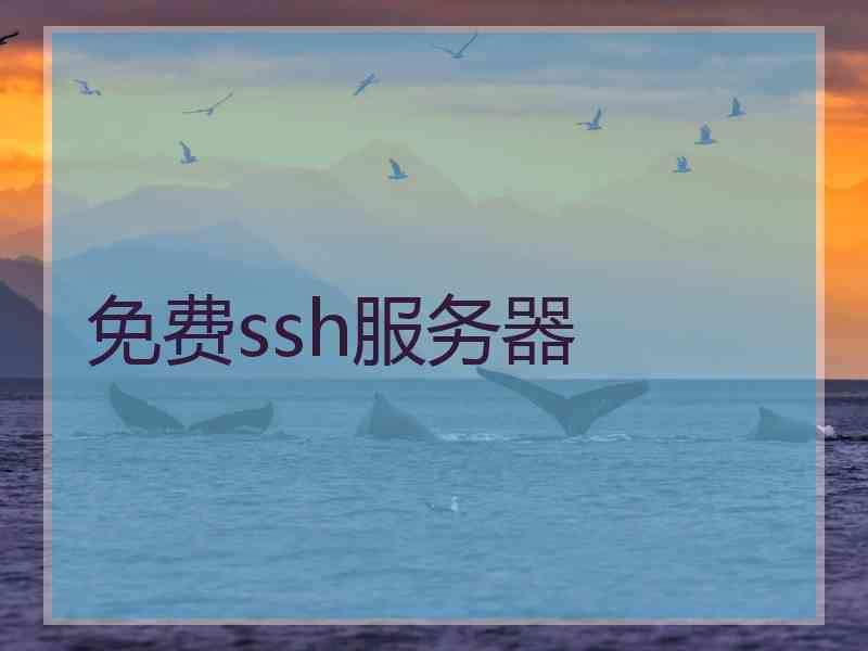 免费ssh服务器