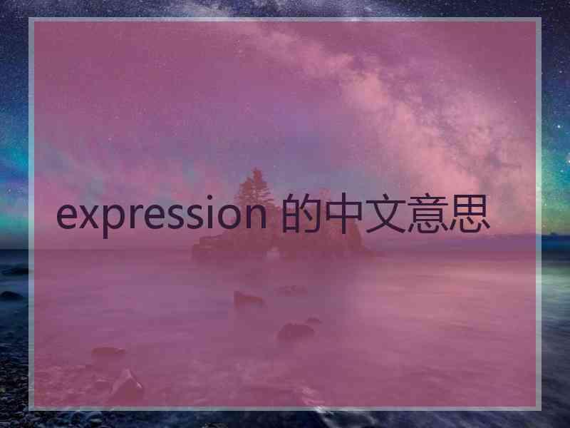 expression 的中文意思