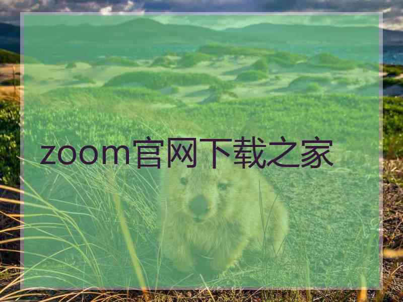 zoom官网下载之家