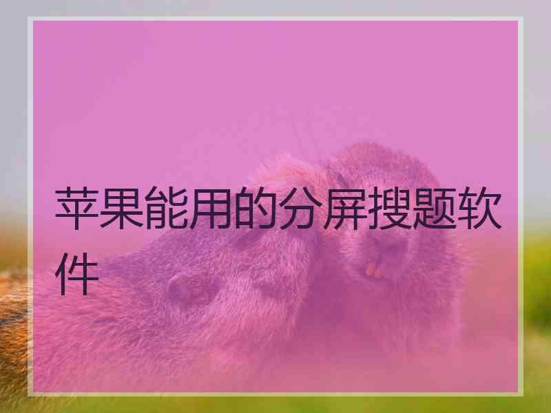 苹果能用的分屏搜题软件