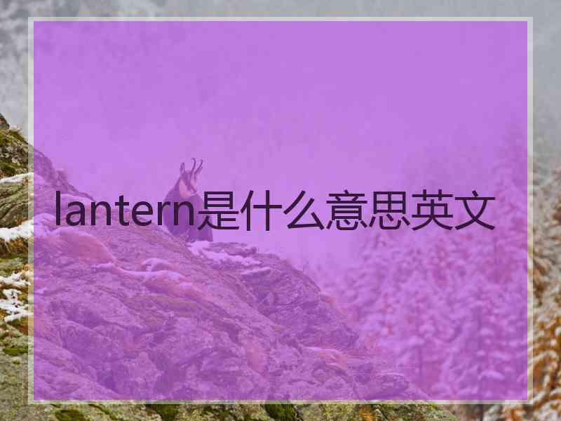 lantern是什么意思英文