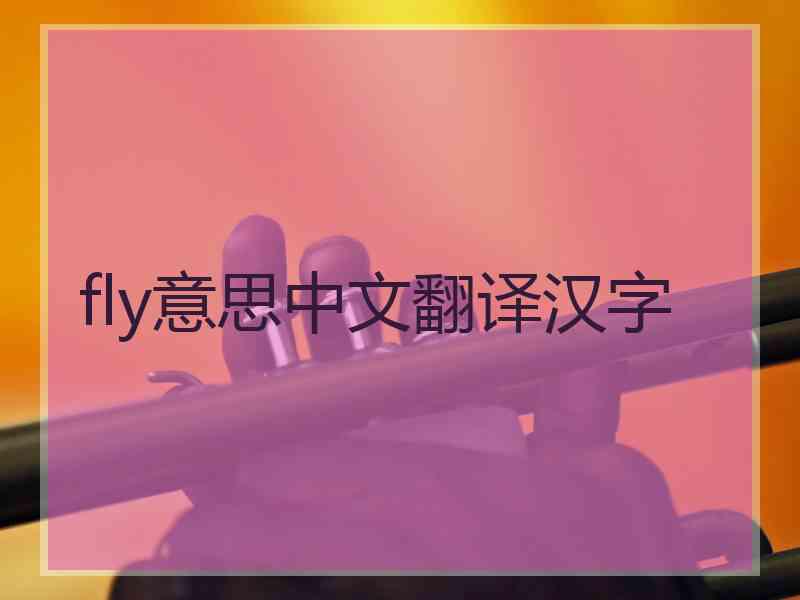 fly意思中文翻译汉字